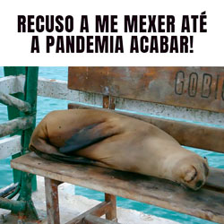 Leia mais sobre o artigo Ep34- Que meme é esse?