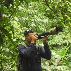 fotografo de aves na floresta